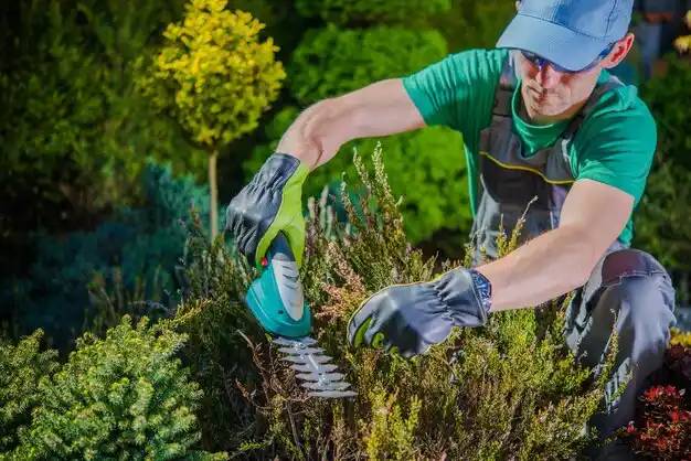landscaping services North Lynbrook